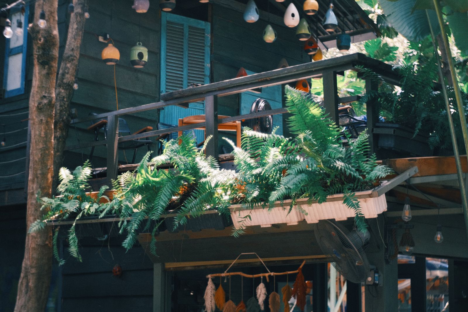 Balcony railing planter box filled with ferns, balcony design Bengaluru 2026, by myNivasa